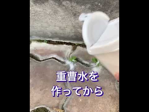 塩で雑草を殺す