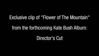 Kate Bush - Flower of the Mountain (Director&#39;s Cut) - Exclusive Clip