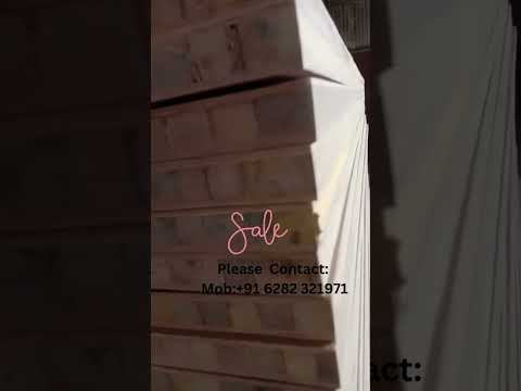 Plywood Door