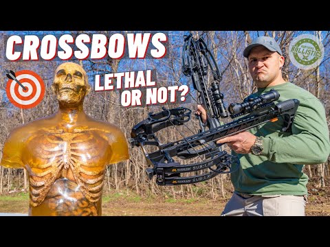 How Lethal Is A Crossbow ??? 🏹