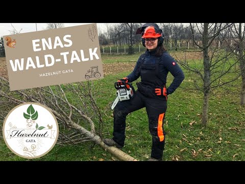 Enas Wald-talk | Arbeiten mit Stihl | neue Feldwege