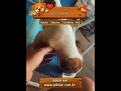 Vídeo de Está sem nome 