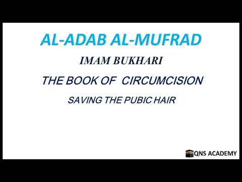 Adab Al Mufrad 53-12: Saving the pubic hair, Hadith 1257 of 1322