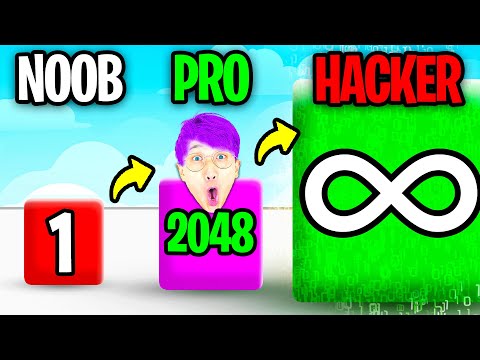 NOOB vs PRO vs HACKER In JELLY RUN 2048!? (MAX LEVEL 2048!)
