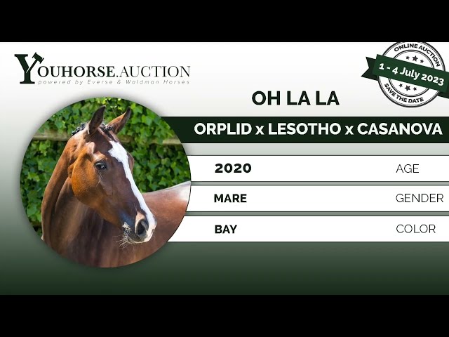 Oh la la when she was 3 y old under the saddle 