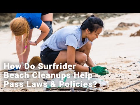 How Do Surfrider Beach Clean Ups Help Pass Laws & Policies?