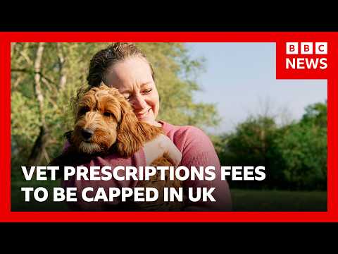 Vet prescription fees to be capped in overhaul to veterinarian sector costs in UK | BBC News