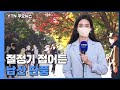 날씨 절정기 접어든 남산 단풍...둘레길 걸어요 ytn