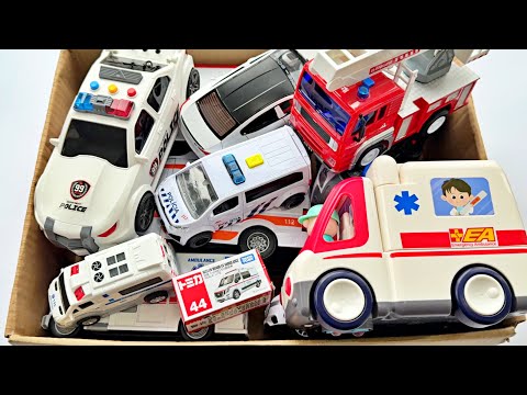 冒険とサプライズがいっぱいのレスキューボックス #21 | A Rescue Box Full of Adventures and Surprises #21