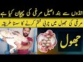 Aseel Murgi Ki Jhool Ka Ilaj Jo Murgi Andy Na Day Uska Kya Ilaj Kren Murgi Andy Nahi Day Rahi