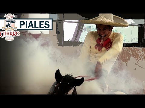 Perfume Caro - 2022 Zacatecas Congress - Piales in the Lienzo - October 28