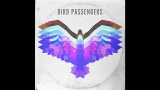 Bird Passengers - Fly Away