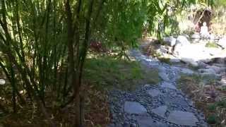 What To Do To Enjoy Five Big Garden Benefits