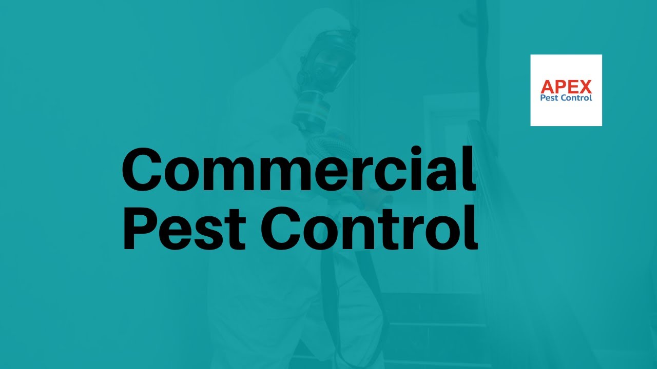 Commercial Pest Control | Apex Pest Control | Yorkshire, UK
