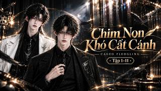 ĐAM MỸ | CHIM NON KHÓ CẤT CÁNH - TẬP 1-11 | VƯỜN ĐAM MỸ