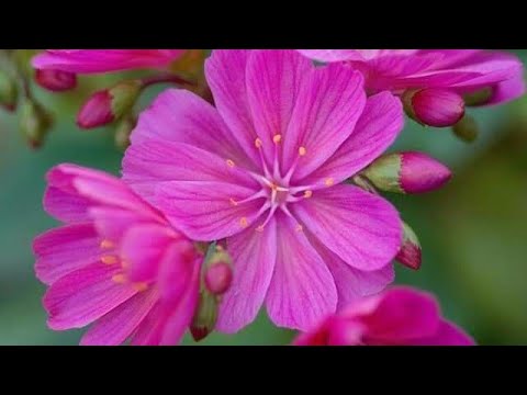 গণিত /৭ম শ্রেণি/অনুশীলনী৫.৩[Mathematics, Class Seven,Chapter /5.3]