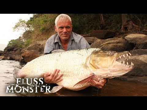 Riesentigerfisch: Jeremy bekommt Hilfe von einem Hexendoktor | S2 E02 | Fluss Monster