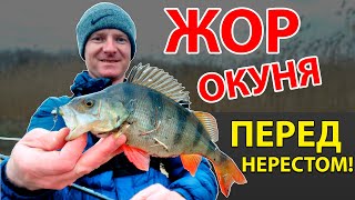 Ловля спиннингом в марте на оке