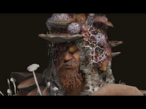 How to beat Full Grown Fallingstar Beast EZ.  #eldenring