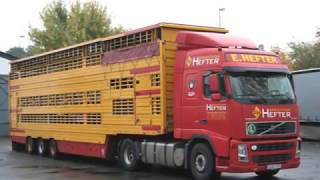 Du bist immer auf Achse - Truck Stop