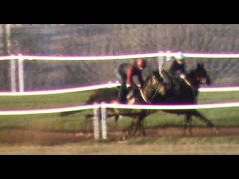 Team G preview Greyville 20th July 2012