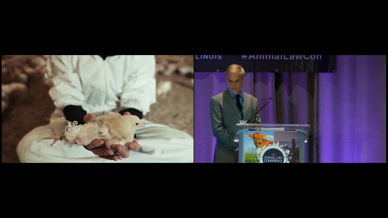 Keynote Presentation: Seeing the Victims and Survivors of the Anthropocene