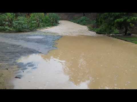 JORNAL.DO.VANIN.20.01.2023