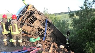 gazzella-la-tempestivita-di-azione-dell-autista-del-bus-ha-salvato-i-passeggeri