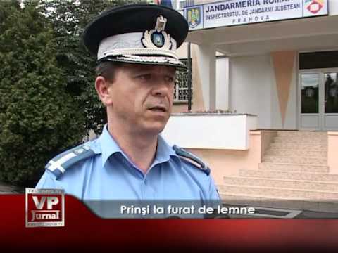Prinşi la furat de lemne