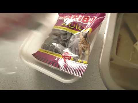 MongoTV_6631 - MIT VÆGTTAB - Del 49 - 120,8 Kg. - Min Mave Er Kæmpe Stor