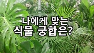 나에게 맞는 식물궁합은 어떤걸까요?
