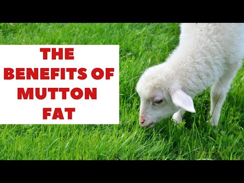Fat from Sheep or Mutton Fat - Benefits and How It Differs from Pork Fat