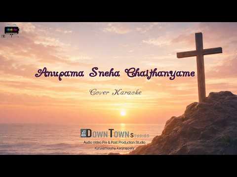 Anupama Sneha Chaithanyame Cover Karaoke | Down Town Studios