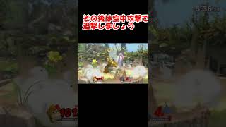 オンライン行動にリスク付ける方法【スマブラSP】