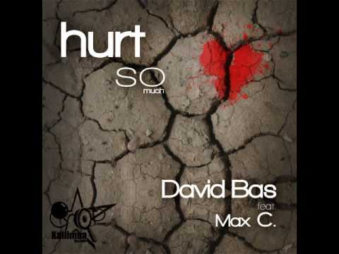 David Bas feat. Max C- Hurt So Much (Radio Edit)