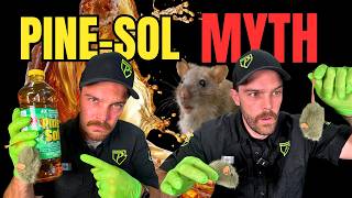 Pine-Sol Does Not Get Rid of Mice & Rats