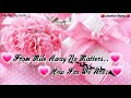 Merry Christmas Christmas Greeting Whatsapp Status Video Merry Christmas Status And New Year