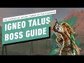 The Legend of Zelda: Tears of the Kingdom - Igneo Talus Miniboss Gameplay Walkthrough