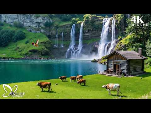 All Stress Disappears When This Music Starts Playing 🎶 Emotional Healing Relax Music