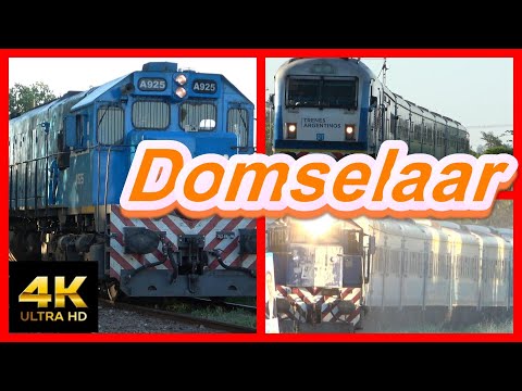 Trenes Argentinos : Estación Domselaar , trenes a Mar del Plata y Chascomús