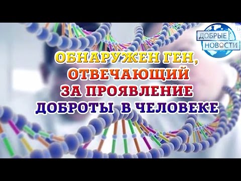 МИР СПАСЕТ КРАСОТА, ЕСЛИ ОНА ДОБРА! УЧЁНЫЕ НАШЛИ ГЕН ДОБРА