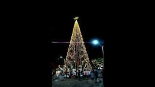 preview picture of video 'Árvore de Natal, Santa Ines - MA'