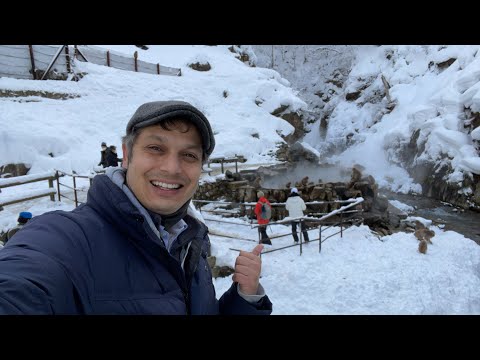 日本雪猴公園景觀｜長野 (Japanese Snow Monkey Park View | Nagano)