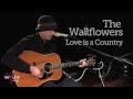 The Wallflowers - "Love Is a Country" (Live at WFUV)