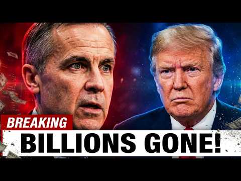 The $4.5 Billion Revolution: How a Nation's Quiet Choice ...