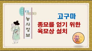 [농사정보] 고구마_종묘를 얻기 위한 묘상 설치