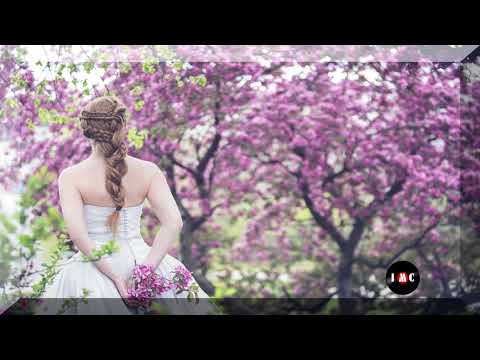 Viva La Vida -  Velvet Moon