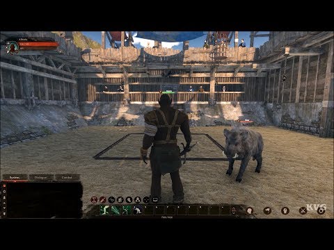 Gameplay de Blackthorn Arena