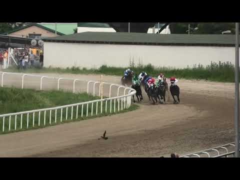 Trka "Memorijal Darka Filipovića Pilketa" 26.05.2019 Iron Boy - Željko Ilić