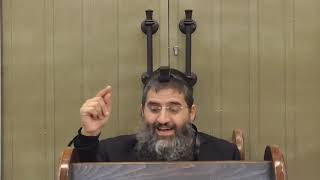 הרב אופיר טנג'י - הלכה בפרשה - פרשת וישב - הלכות ייחוד